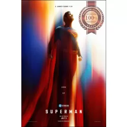 SUPERMAN 2025 TEASER LOOK UP ORIGINAL MOVIE CINEMA PRINT PREMIUM POSTER