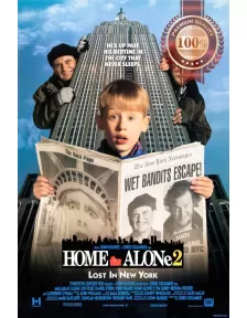 HOME ALONE 2 1992 90s ORIGINAL OFFICIAL CINEMA MOVIE FILM PRINT PREMIUM POSTER