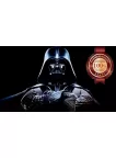 DARTH VADER CROSSED ARMS STAR WARS HOME DECOR WALL ART PRINT PREMIUM POSTER