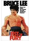 FIST OF FURY BRUCE LEE 1972 70s ORIGINAL CINEMA FILM MOVIE PRINT PREMIUM POSTER