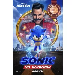 SONIC THE HEDGEHOG 2020 OFFICIAL ORIGINAL CINEMA MOVIE PRINT PREMIUM POSTER