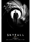 SKYFALL JAMES BOND 007 GUNBARREL ORIGINAL CINEMA MOVIE PRINT PREMIUM POSTER SKYFALL JAMES BOND 007 GUNBARREL ORIGINAL CINEMA MOVIE PRINT PREMIUM POSTER