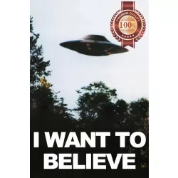 I WANT TO BELIEVE THE X-FILES UFO PHOTO ORIGINAL TV SHOW PRINT PREMIUM POSTER