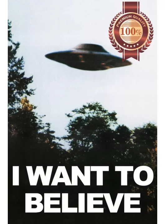 I WANT TO BELIEVE THE X-FILES UFO PHOTO ORIGINAL TV SHOW PRINT PREMIUM POSTER