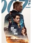 JAMES BOND NO TIME TO DIE 2021 V3 ORIGINAL CINEMA MOVIE PRINT PREMIUM POSTER