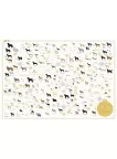 DIAGRAM OF DOGS CHART GUIDE INFORMATIONAL INFO TYPES OF DOG PRINT PREMIUM POSTER