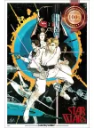 A NEW HOPE STAR WARS IV 4 HOWARD CHAYKIN ART ORIGINAL MOVIE PRINT PREMIUM POSTER