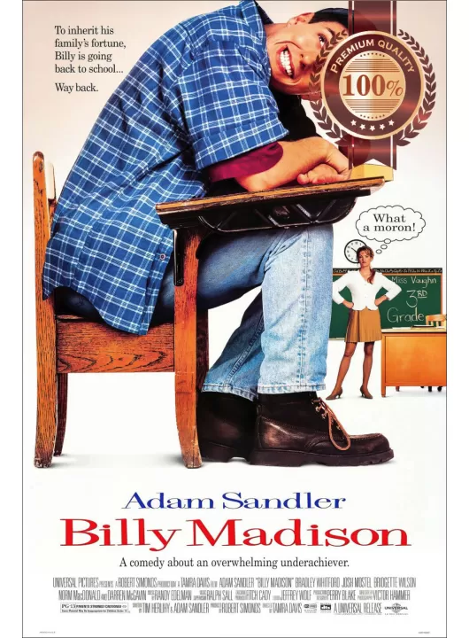 BILLY MADISON 1995 90s ORIGINAL OFFICIAL CINEMA MOVIE FILM PRINT PREMIUM POSTER