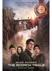 THE MAZE RUNNER THE SCORCH TRIALS 2015 MOVIE ORIGINAL CINEMA PRINT PREMIUM POSTER THE MAZE RUNNER THE SCORCH TRIALS 2015 MOVIE ORIGINAL CINEMA PRINT PREMIUM POSTER