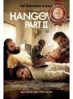 THE HANGOVER PART II 2 2011 ORIGINAL OFFICIAL CINEMA MOVIE PRINT PREMIUM POSTER