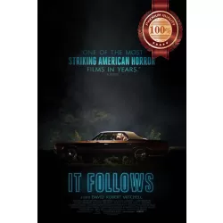 IT FOLLOWS 2014 HORROR ORIGINAL OFFICIAL CINEMA MOVIE FILM PRINT PREMIUM POSTER