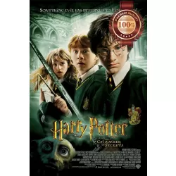 HARRY POTTER AND THE CHAMBER OF SECRETS 2002 MOVIE ORIGINAL PRINT PREMIUM POSTER