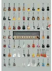 VISUAL CHART GUIDE OF WORLD FAMOUS GUITARS MUSIC WALL PRINT PREMIUM POSTER