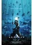 AQUAMAN 2018 TEASER DC UNDERWATER OFFICIAL CINEMA MOVIE PRINT PREMIUM POSTER