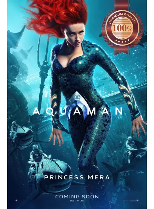AQUAMAN PRINCESS MERA DC ORIGINAL OFFICIAL CINEMA MOVIE PRINT PREMIUM POSTER