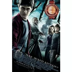 HARRY POTTER AND THE HALF BLOOD PRINCE 2009 MOVIE ORIGINAL PRINT PREMIUM POSTER