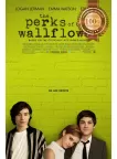 THE PERKS OF BEING A WALLFLOWER 2012 ORIGINAL MOVIE FILM PRINT PREMIUM POSTER