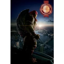 RAPHAEL TEENAGE MUTANT NINJA TURTLES 2014 MOVIE ART PRINT - PREMIUM POSTER
