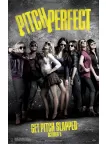 PITCH PERFECT 2012 1 ONE MOVIE FILM ORIGINAL OFFICIAL CINEMA PRINT PREMIUM POSTER