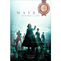 THE MATRIX 4 RESURRECTIONS 2021 ORIGINAL CINEMA MOVIE FILM PRINT PREMIUM POSTER