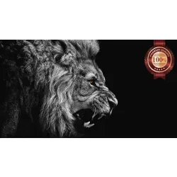 LION ROARING SIDE PROFILE CLOSE WILD BEAUTIFUL ANIMAL PRINT PREMIUM POSTER
