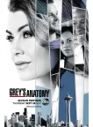 GREYS ANATOMY CAST TV SHOW ORIGINAL OFFICIAL PRINT PREMIUM POSTER