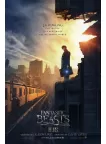 FANTASTIC BEASTS AND WHERE TO FIND THEM 2016 MOVIE FILM PRINT PREMIUM POSTER
