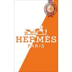 HERMES PARIS HALF COLOUR LOGO ART ARTWORK DESIGN ART DECO GRAPHIC PREMIUM POSTER