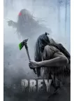 PREY 2022 ALIEN PREDATOR CINEMA ORIGINAL THEATRICAL MOVIE PRINT PREMIUM POSTER PREY 2022 ALIEN PREDATOR CINEMA ORIGINAL THEATRICAL MOVIE PRINT PREMIUM POSTER