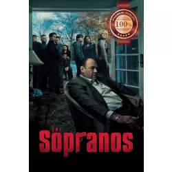 THE SOPRANOS SEASON 6 TONY IN CHAIR OFFICIAL SERIES TV SHOW PRINT PREMIUM POSTER