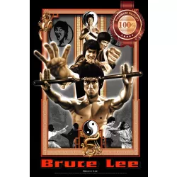 NEW BRUCE LEE CLASSIC HOLDING NUNCHUCKS HOME DECOR ART PRINT - PREMIUM POSTER