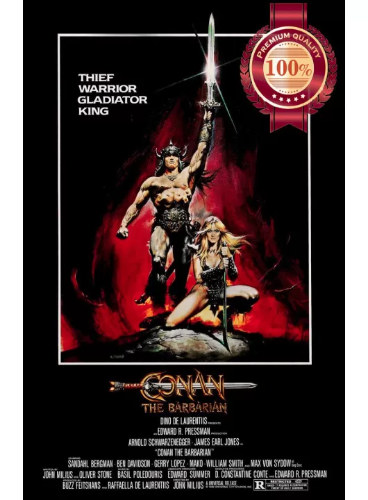 CONAN THE BARBARIAN 1982 80 ARNOLD SCHWARZENEGGER MOVIE PRINT PREMIUM POSTER