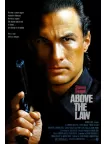 ABOVE THE LAW 1988 80s ORIGINAL OFFICIAL CINEMA FILM MOVIE PRINT PREMIUM POSTER