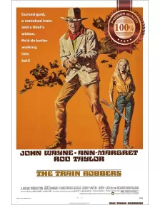 THE TRAIN ROBBERS JOHN WAYNE 1973 70s ORIGINAL MOVIE PRINT PREMIUM POSTER