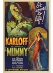 THE MUMMY 1932 30s KARLOFF ORIGINAL CINEMA MOVIE FILM PRINT PREMIUM POSTER THE MUMMY 1932 30s KARLOFF ORIGINAL CINEMA MOVIE FILM PRINT PREMIUM POSTER
