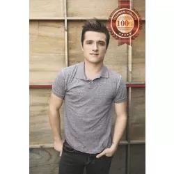 JOSH HUTCHERSON FAMOUS ACTOR ORIGINAL CINEMA MOVIE PRINT PREMIUM POSTER