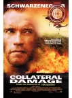 COLLATERAL DAMAGE 2002 SCHWARZENEGGER FILM ORIGINAL MOVIE PRINT PREMIUM POSTER