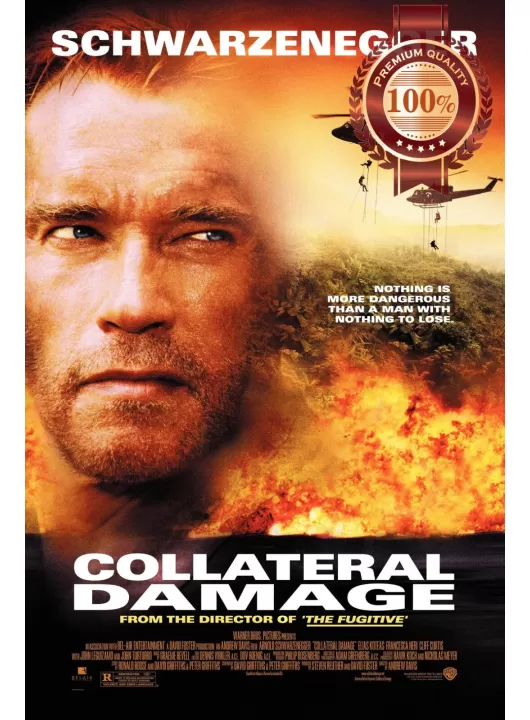 COLLATERAL DAMAGE 2002 SCHWARZENEGGER FILM ORIGINAL MOVIE PRINT PREMIUM POSTER