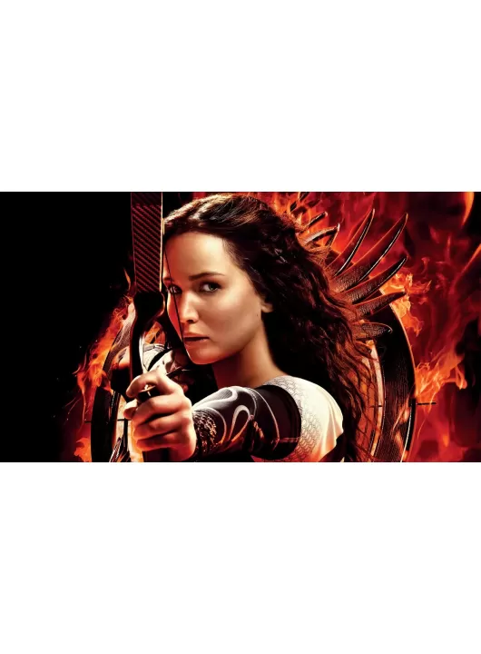 LARGE KATNISS EVERDEEN CATCHING FIRE HUNGER GAMES WALL ART PRINT PREMIUM POSTER