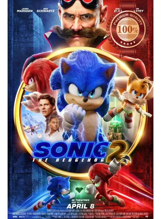 SONIC THE HEDGEHOG 2 2022 MAIN OFFICIAL CINEMA MOVIE FILM PRINT PREMIUM POSTER