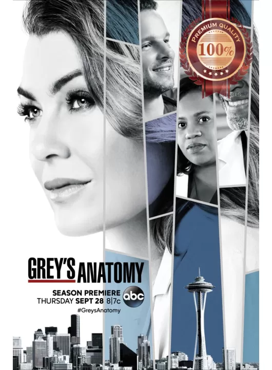 GREYS ANATOMY CAST TV SHOW ORIGINAL OFFICIAL PRINT PREMIUM POSTER