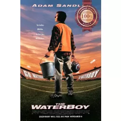 THE WATERBOY 1998 90s ORIGINAL OFFICIAL CINEMA MOVIE FILM PRINT PREMIUM POSTER