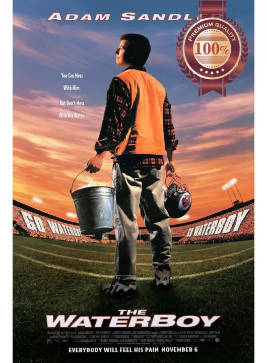 THE WATERBOY 1998 90s ORIGINAL OFFICIAL CINEMA MOVIE FILM PRINT PREMIUM POSTER THE WATERBOY 1998 90s ORIGINAL OFFICIAL CINEMA MOVIE FILM PRINT PREMIUM POSTER