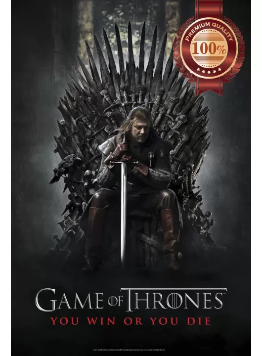 NED STARK ON THRONE THE GAME OF THRONES GOT SHOW ORIGINAL PRINT PREMIUM POSTER