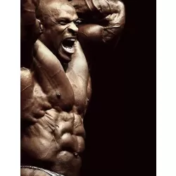 LARGE RONNIE COLEMAN BODYBUILDER MUSCLES FLEXING PHOTO PRINT PREMIUM POSTER