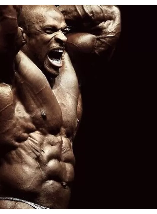 LARGE RONNIE COLEMAN BODYBUILDER MUSCLES FLEXING PHOTO PRINT PREMIUM POSTER