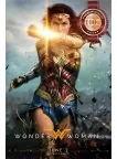 WONDER WOMAN 2017 TEASER RUNNING CINEMA MOVIE FILM ORIGINAL PRINT PREMIUM POSTER