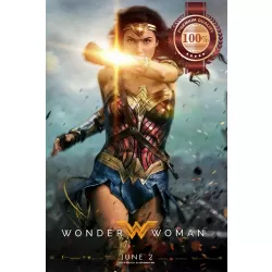WONDER WOMAN 2017 TEASER RUNNING CINEMA MOVIE FILM ORIGINAL PRINT PREMIUM POSTER