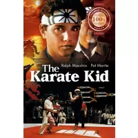 THE KARATE KID CLASSIC 1984 80s ORIGINAL MOVIE FILM CINEMA PRINT PREMIUM POSTER