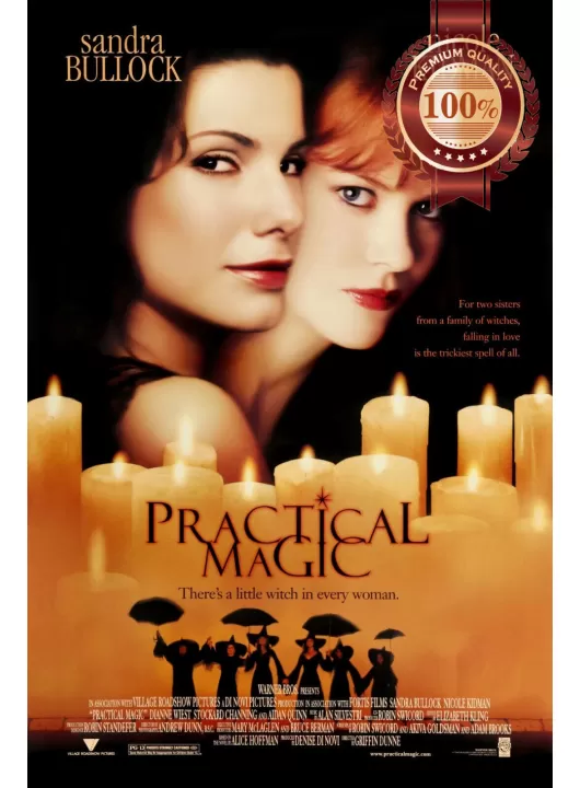 PRACTICAL MAGIC 1998 90s ORIGINAL CINEMA MOVIE PRINT PREMIUM POSTER